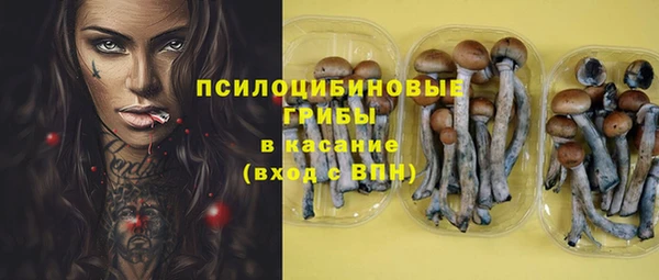 шишки Арсеньев