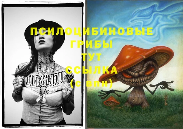 таблы Аркадак