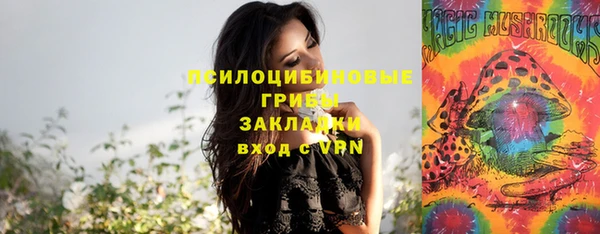 не бодяженный Армянск