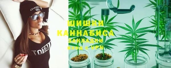 шишки Арсеньев