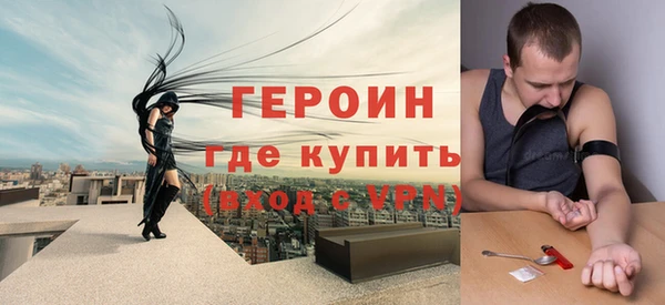 шишки Арсеньев